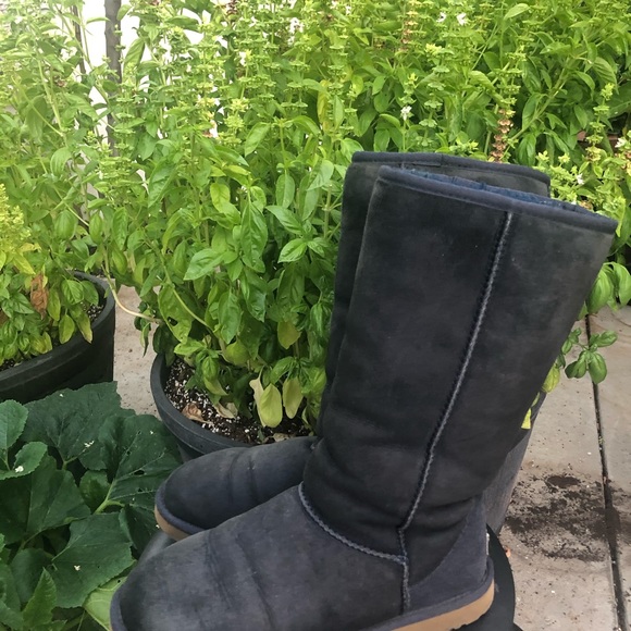 UGG Shoes - UGG Boots